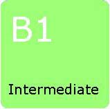 intermediate b1